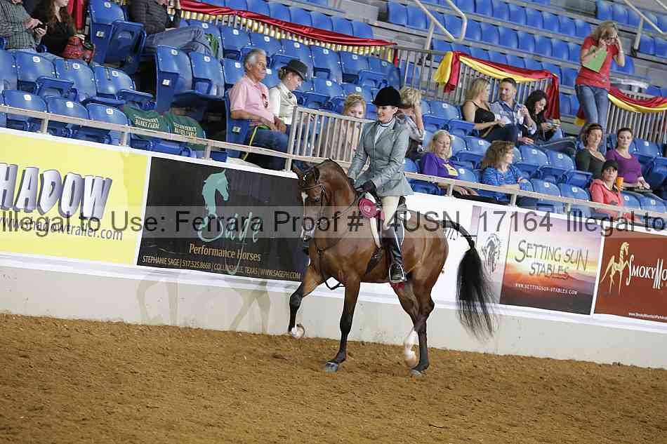 Proof 14usn_17164