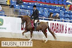 14usn_17177 proof