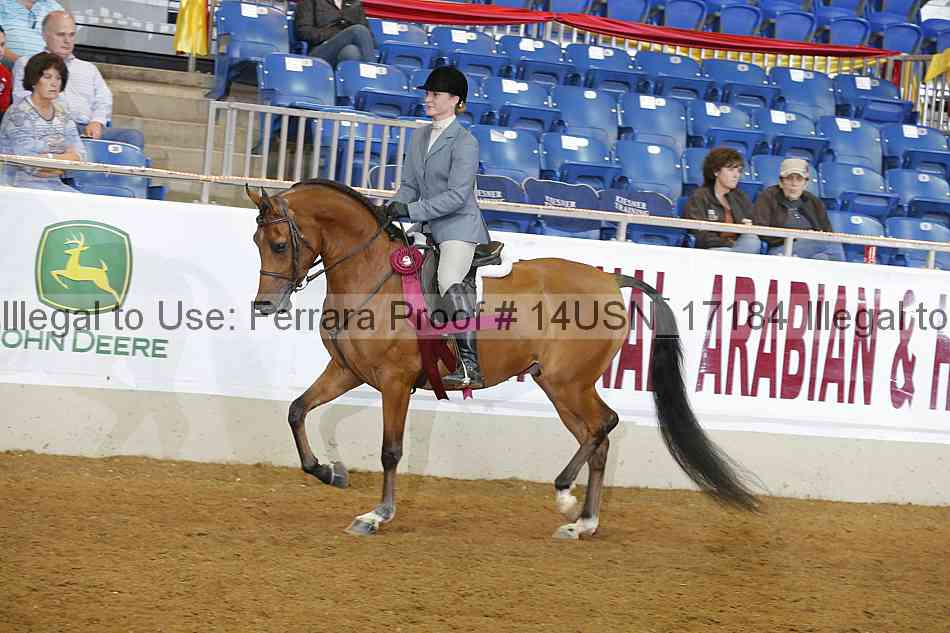 Proof 14usn_17184