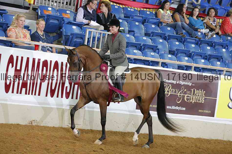 Proof 14usn_17190