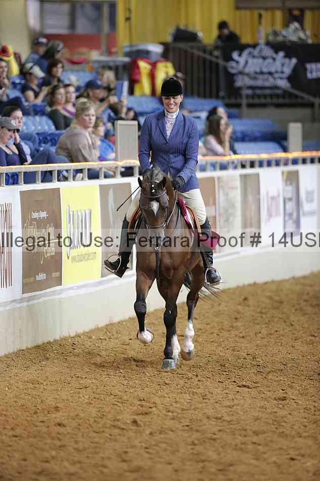 Proof 14usn_17192