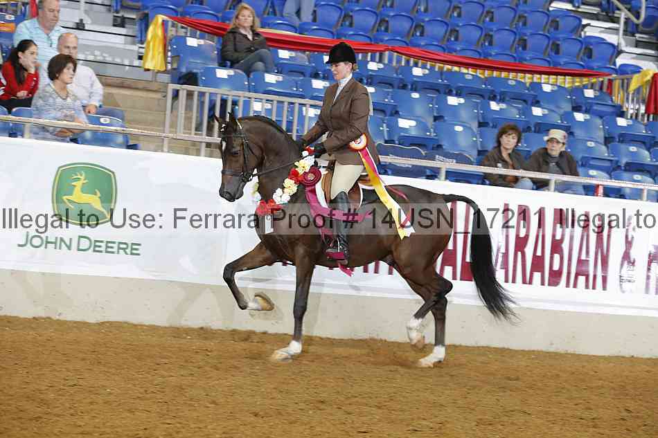 Proof 14usn_17211