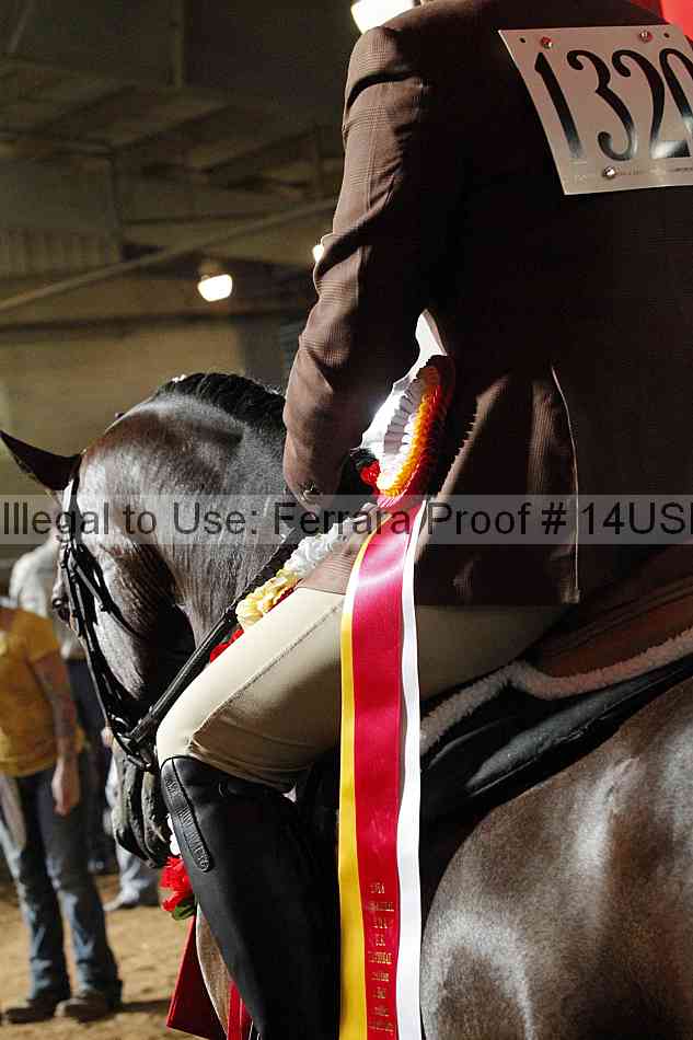 Proof 14usn_17220