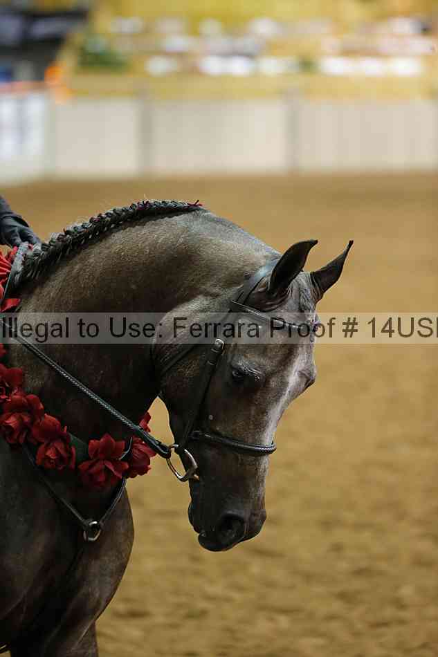 Proof 14usn_17226