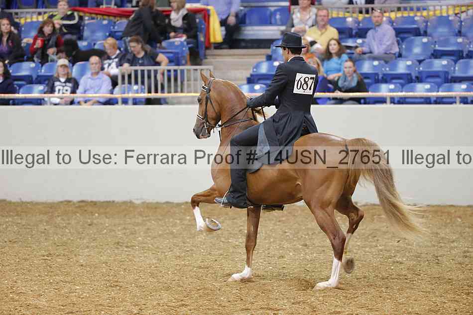 Proof 14usn_27651