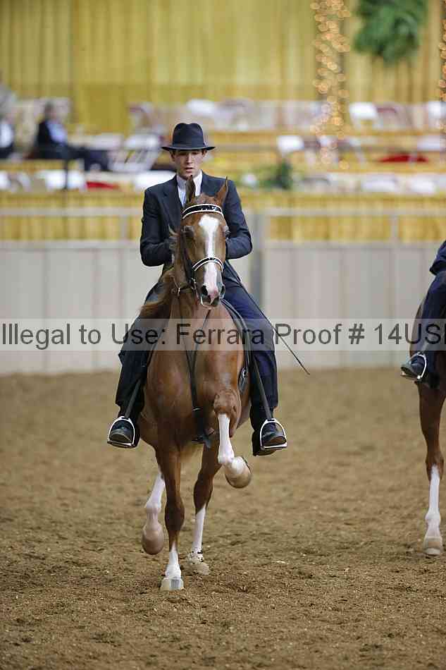 Proof 14usn_27665