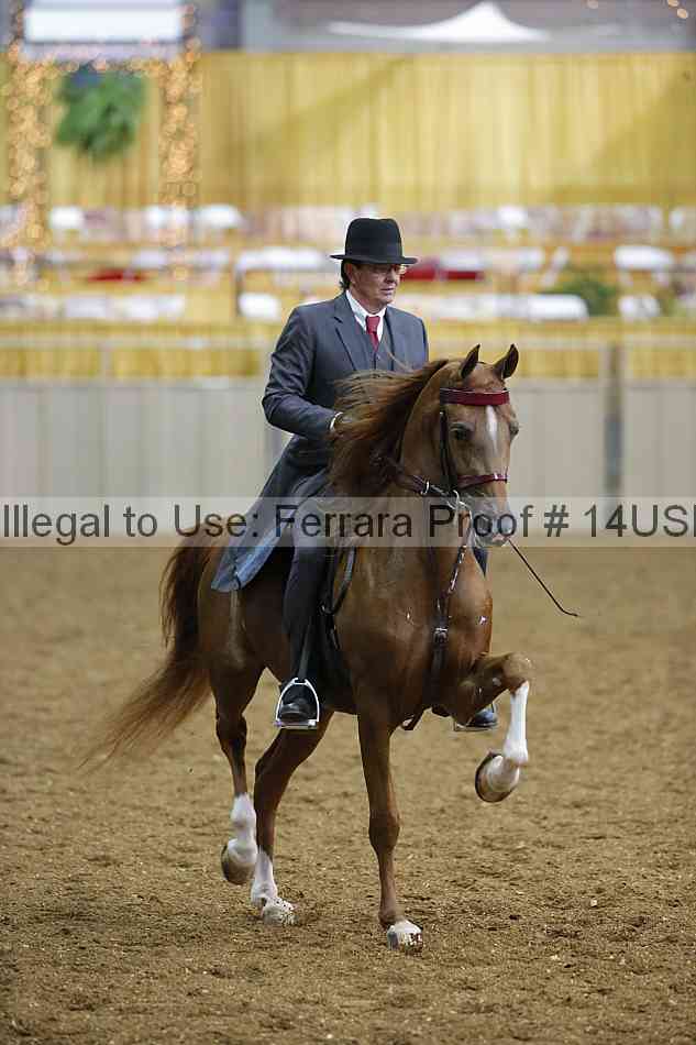 Proof 14usn_27684
