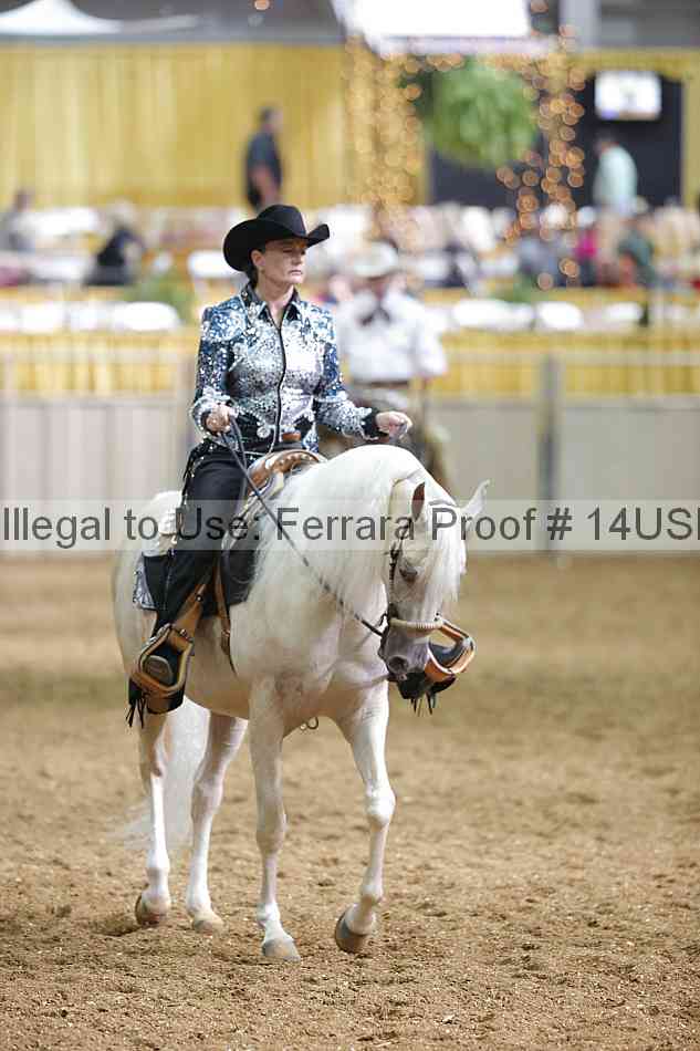 Proof 14usn_26819