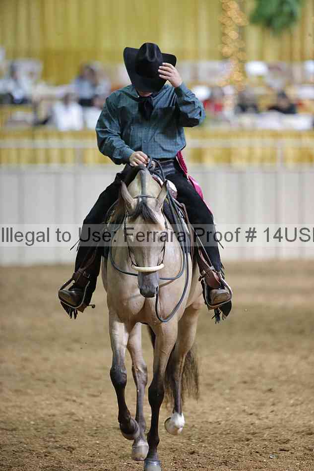 Proof 14usn_26901