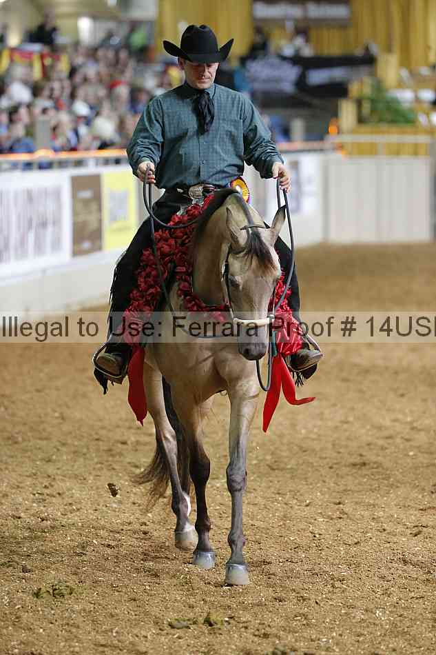 Proof 14usn_26959