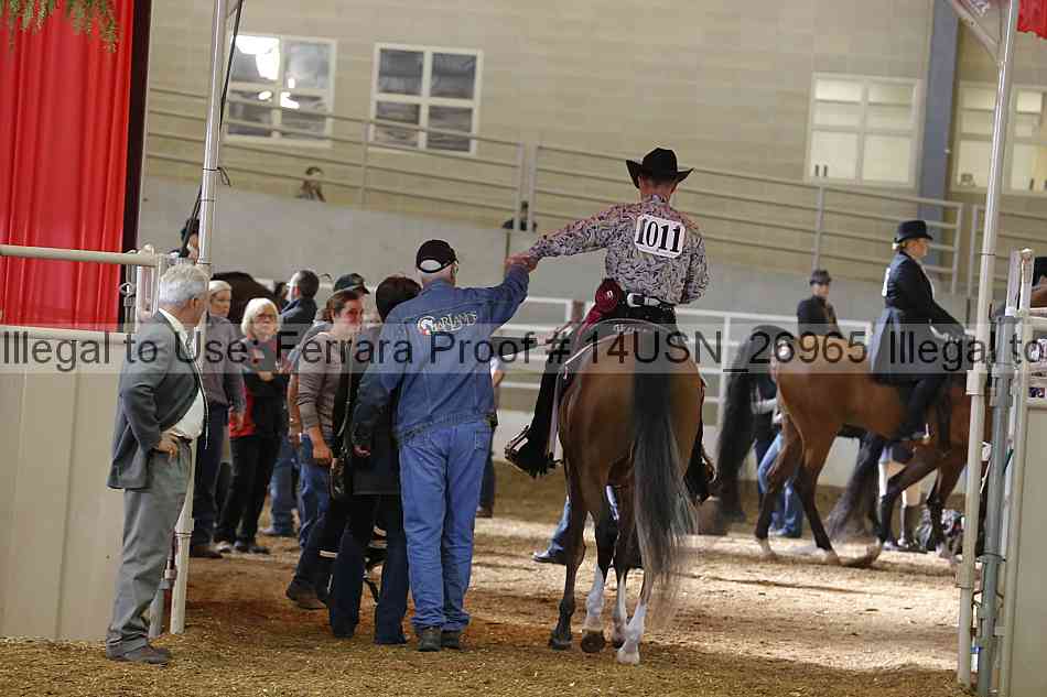 Proof 14usn_26965