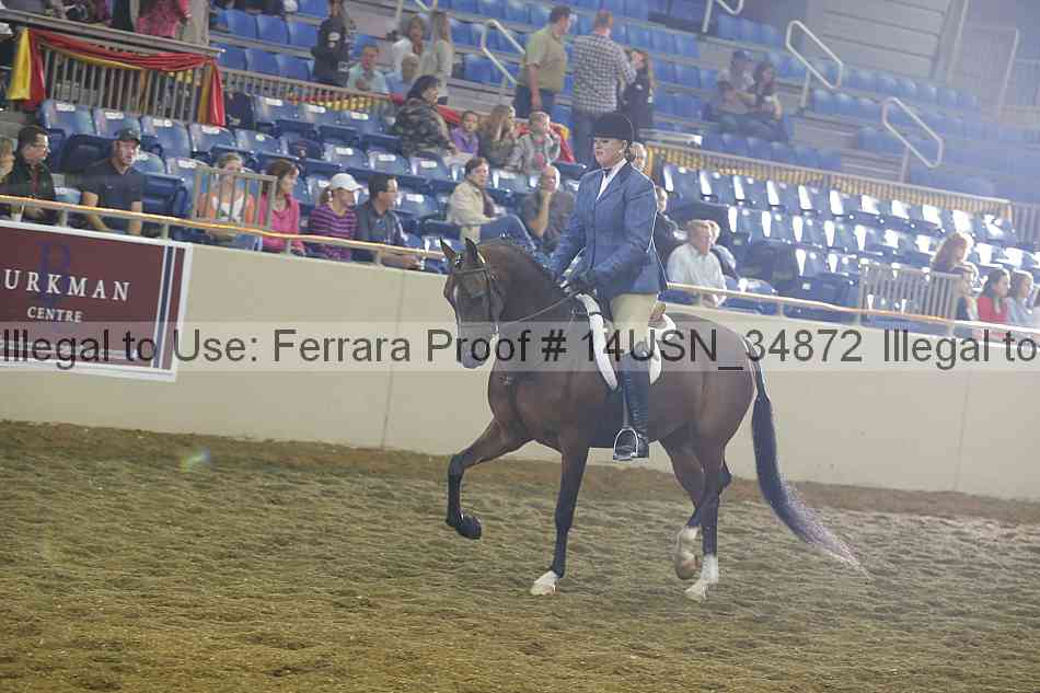 Proof 14usn_34872