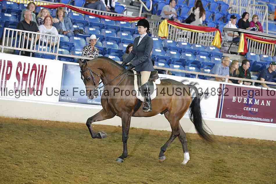 Proof 14usn_34892