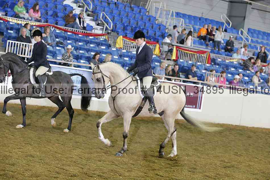 Proof 14usn_34895