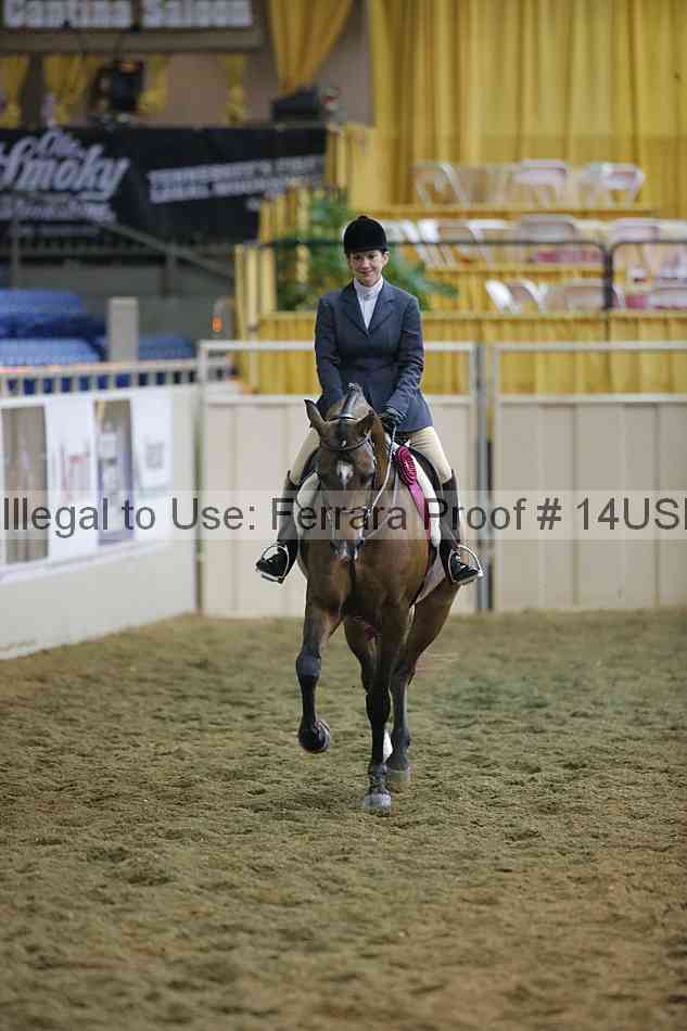 Proof 14usn_34971