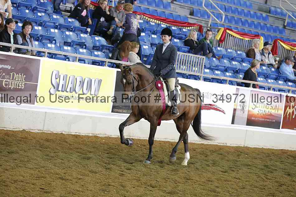Proof 14usn_34972