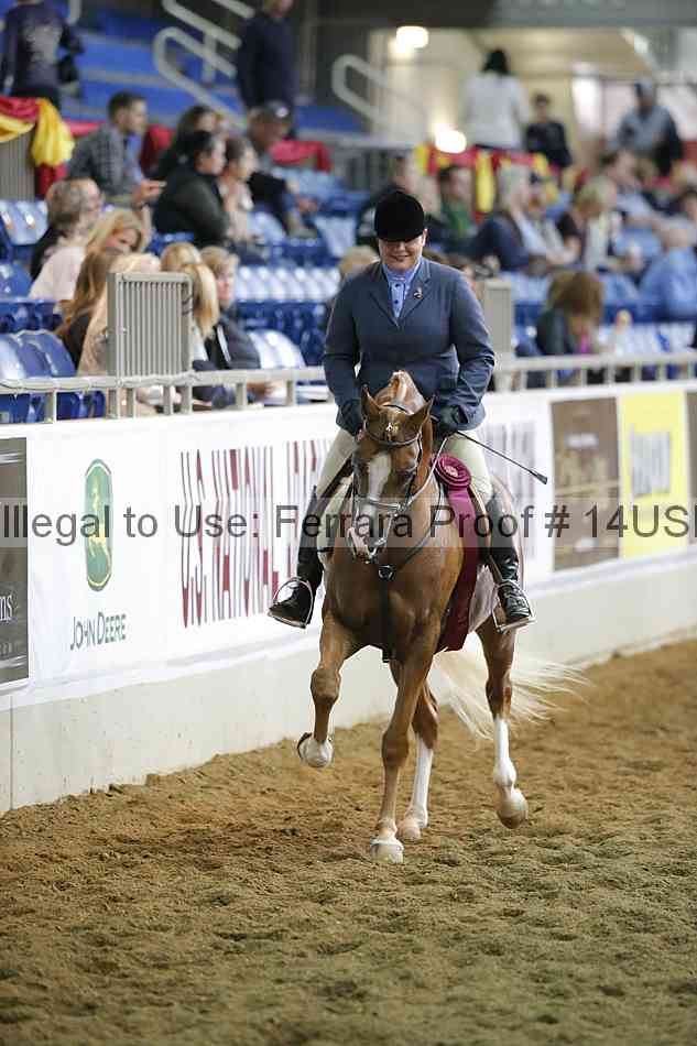 Proof 14usn_34980