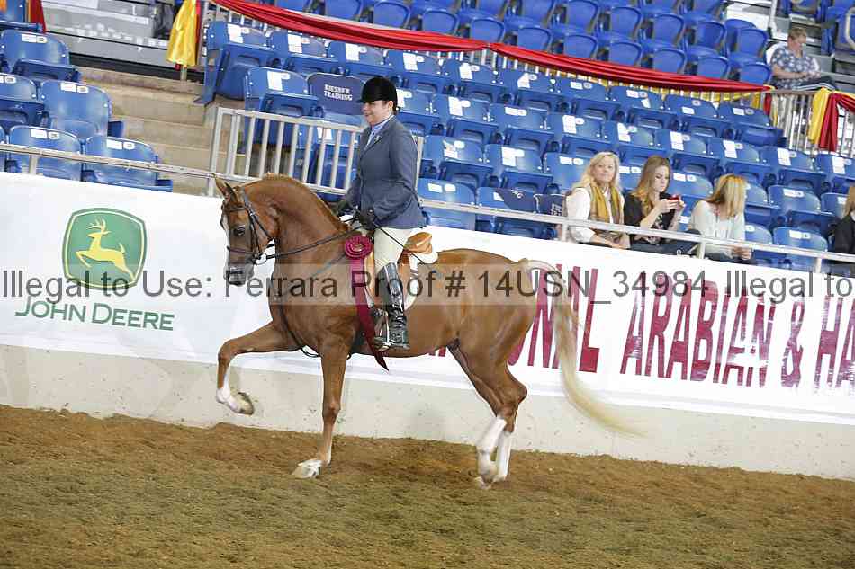 Proof 14usn_34984