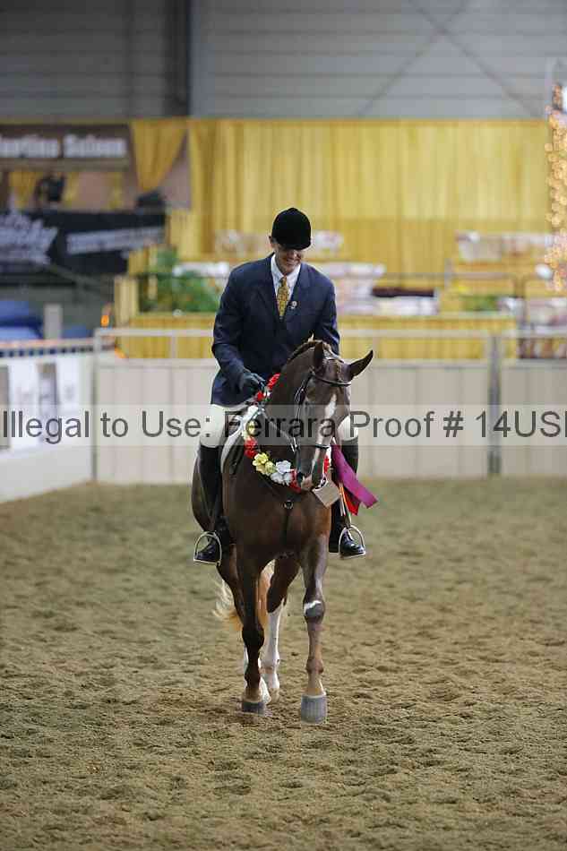 Proof 14usn_35005
