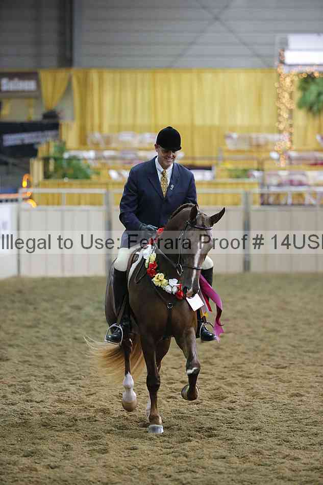 Proof 14usn_35007