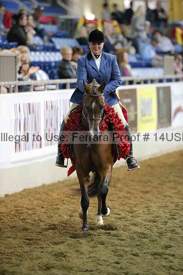Proof 14usn_35018