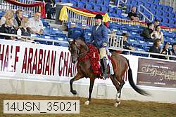 14usn_35021 proof