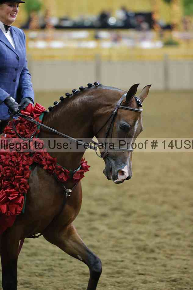 Proof 14usn_35024