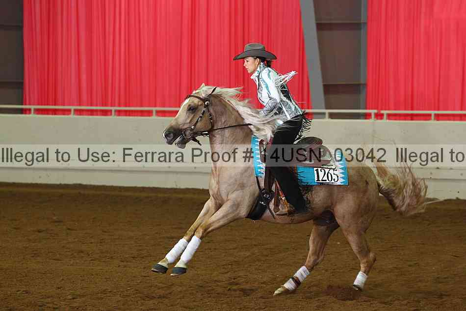 Proof 14usn_03042
