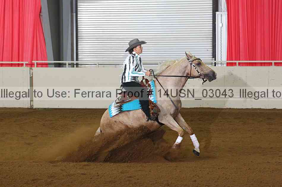 Proof 14usn_03043