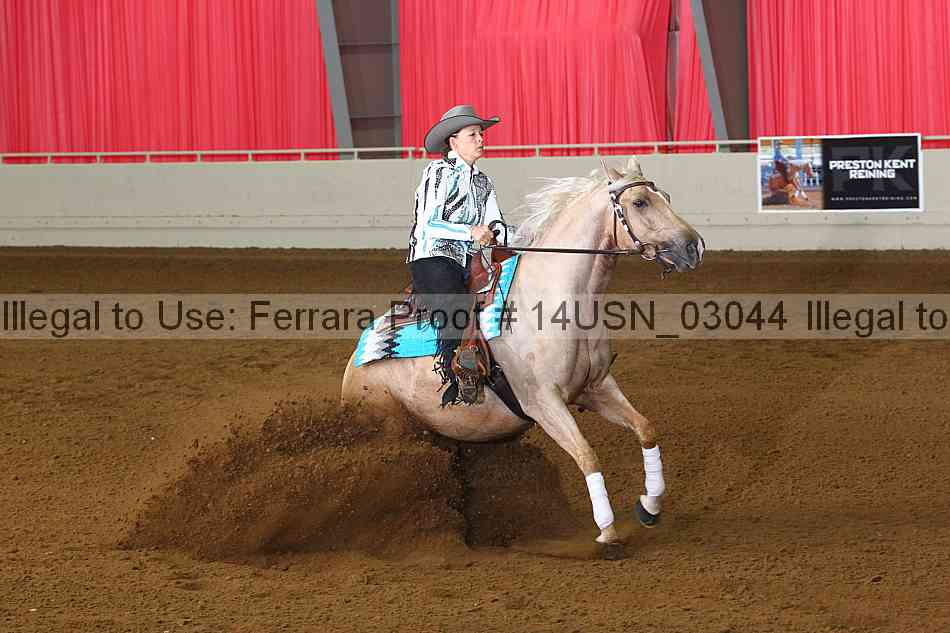 Proof 14usn_03044