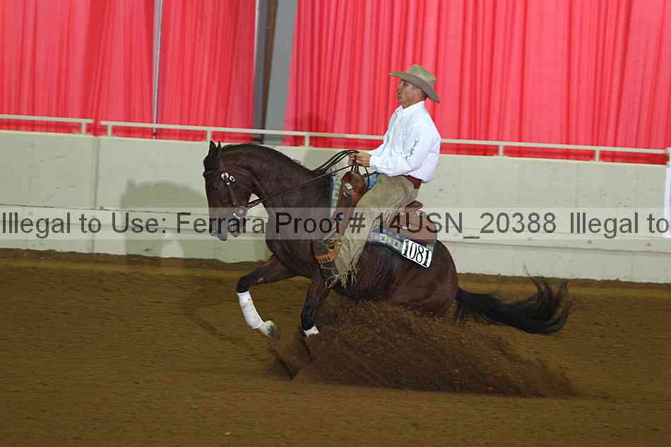 Proof 14usn_20388
