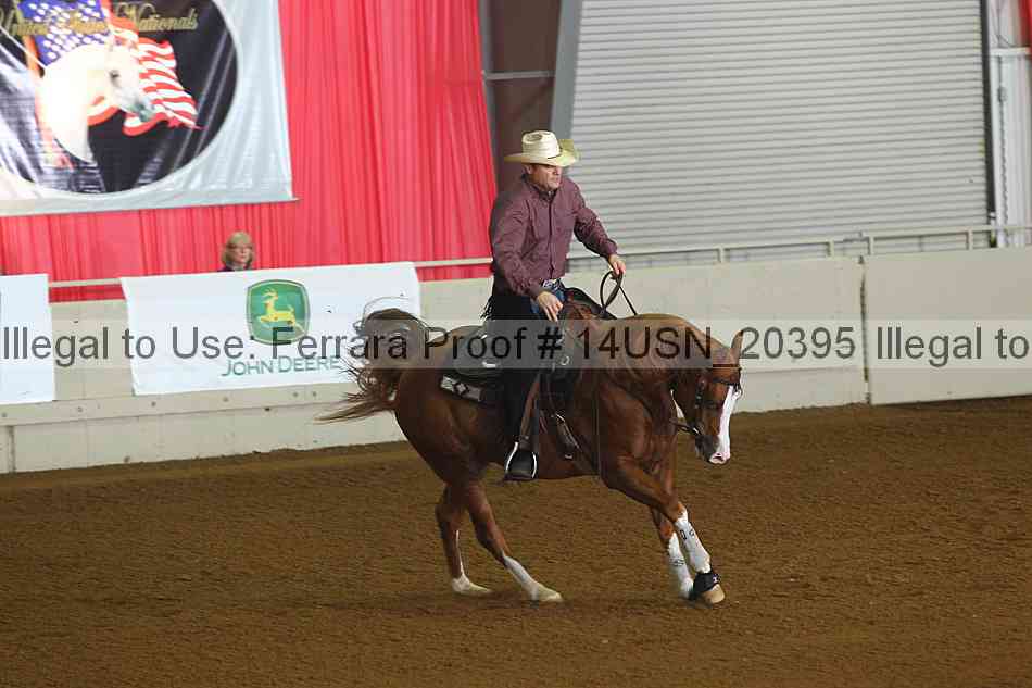 Proof 14usn_20395