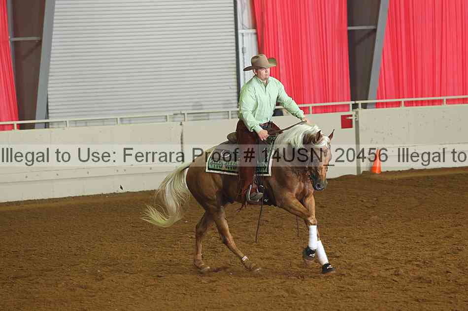 Proof 14usn_20456