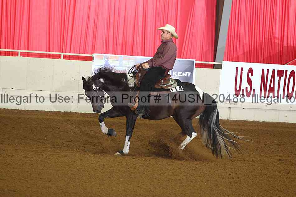 Proof 14usn_20488