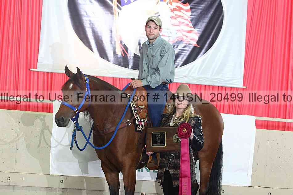 Proof 14usn_20499