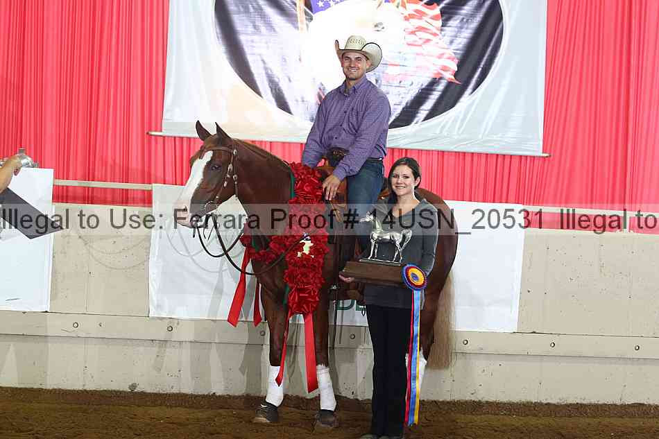 Proof 14usn_20531