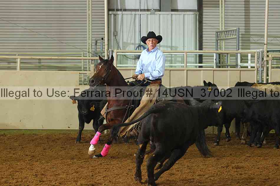 Proof 14usn_37002
