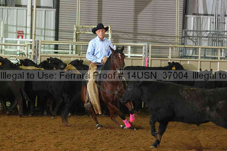 Proof 14usn_37004