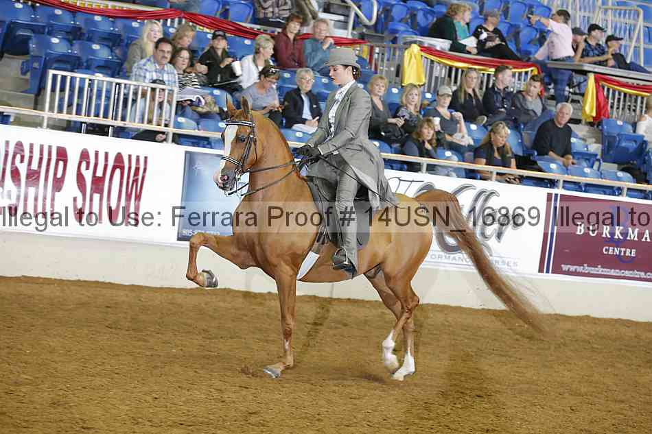Proof 14usn_16869