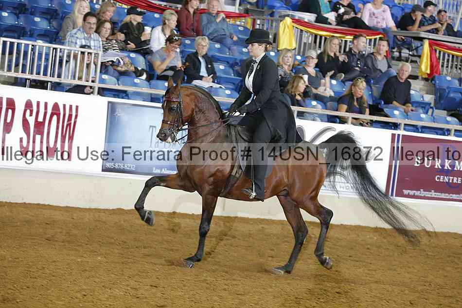 Proof 14usn_16872