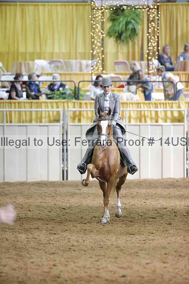 Proof 14usn_16873