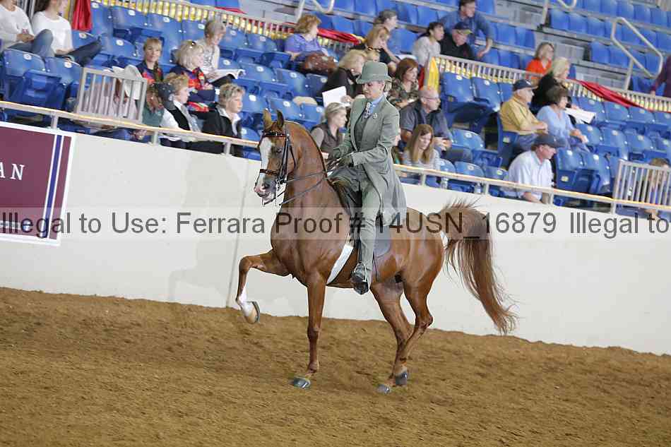 Proof 14usn_16879