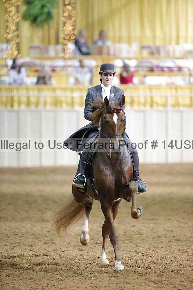 Proof 14usn_16891
