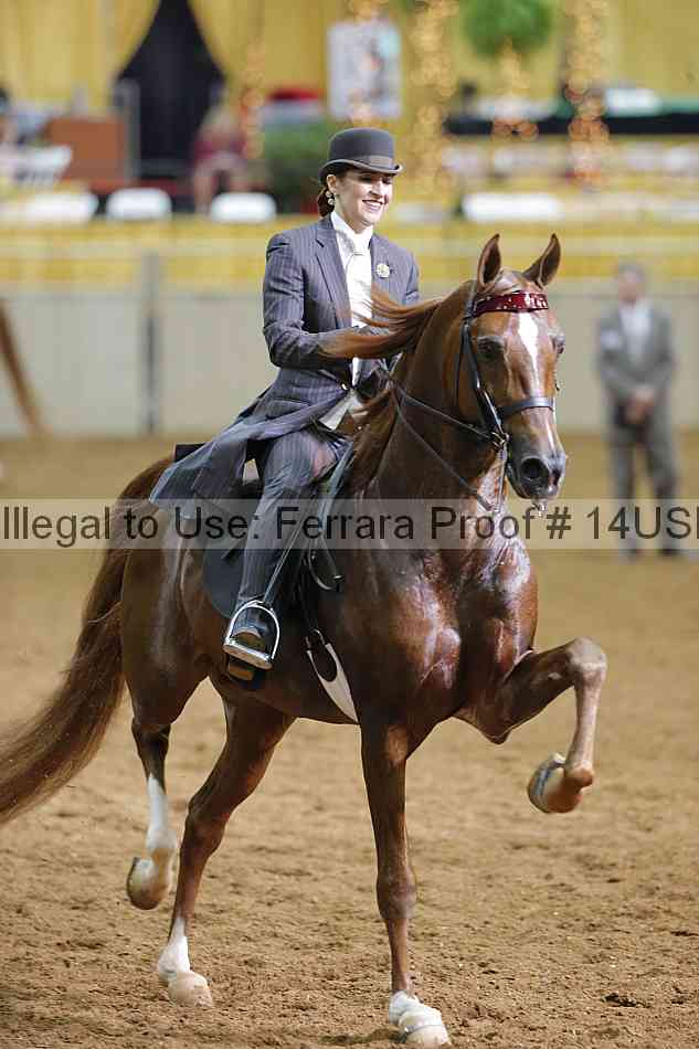 Proof 14usn_16894