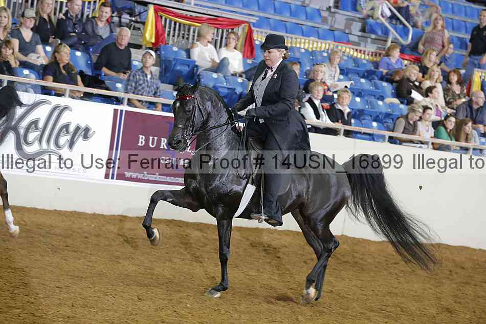 Proof 14usn_16899