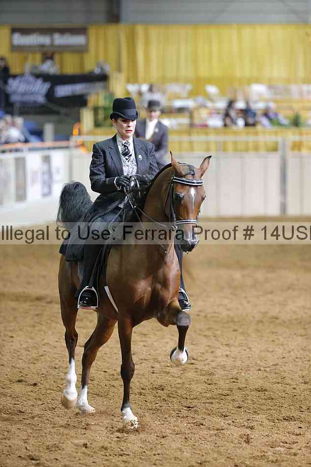 Proof 14usn_16907