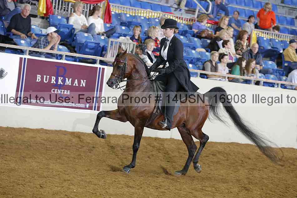 Proof 14usn_16908