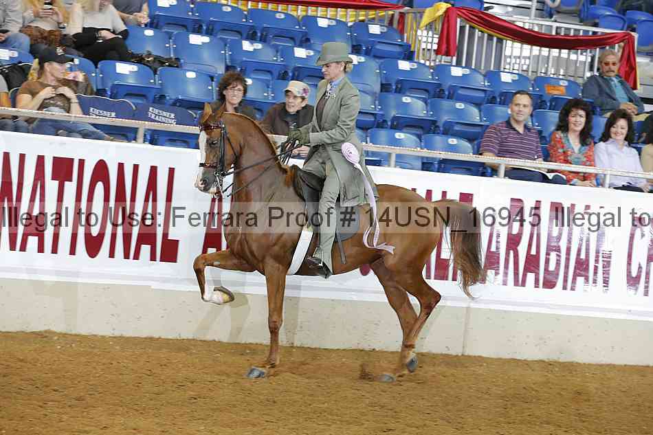 Proof 14usn_16945