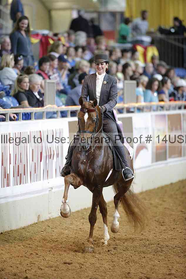 Proof 14usn_16946