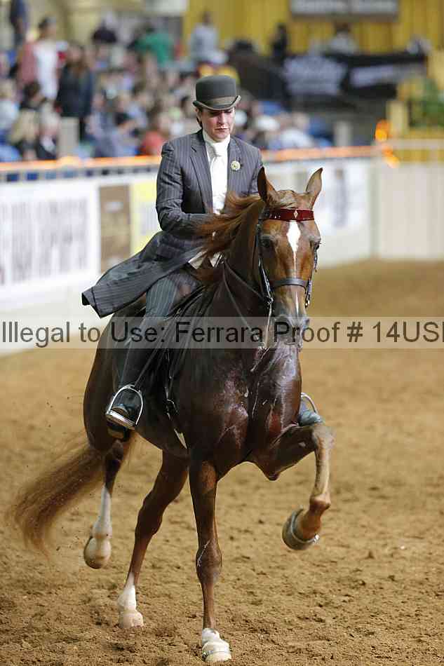 Proof 14usn_16948